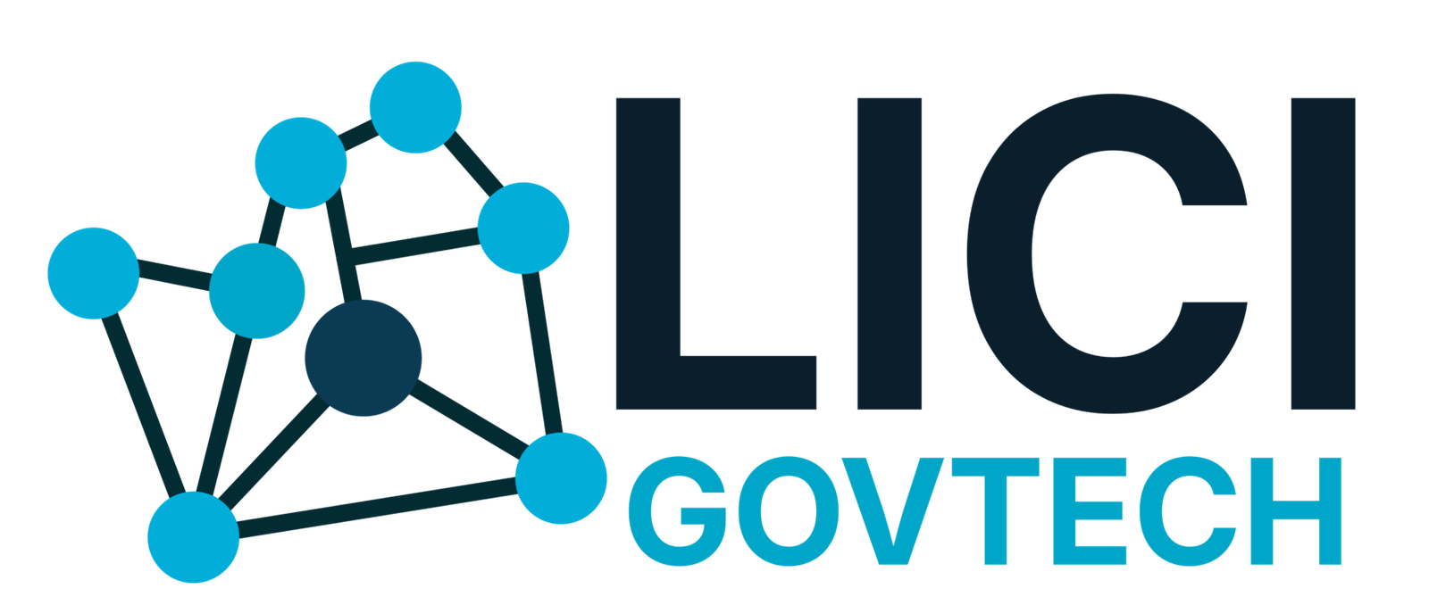 LICI GOVTECH